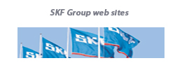 skf group sites