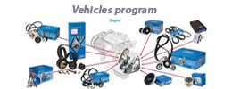 skf vehicle programme